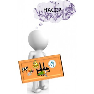 AUDIT HACCP